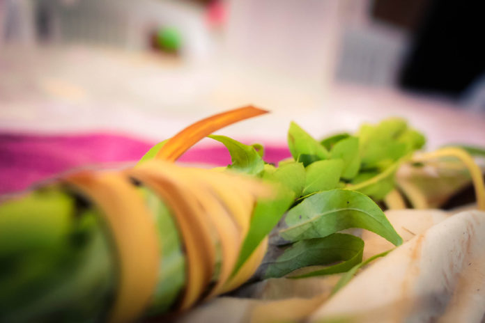 Sukkot "Strauss" (Lulav). Foto wavemovies / Fotolia