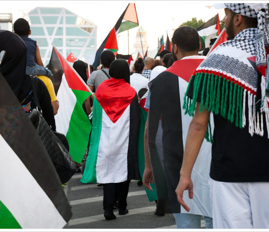 Pro-Gaza Demo in Berlin 2014. Foto Montecruz Foto, Flickr.com, (CC BY-SA 4.0)