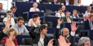 Die Fraktion "Die Grünen/Europäische Freie Allianz" im Europäischen Parlament (Grüne/EFA). Foto © European Union 2017 - Source : EP