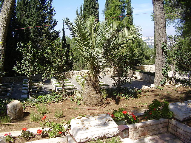 Dattelpalme über dem Grab von Avshalom Feinberg.