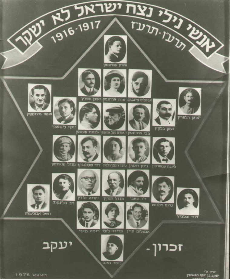 Ein Organigramm von Nili. Foto Nili Museum.