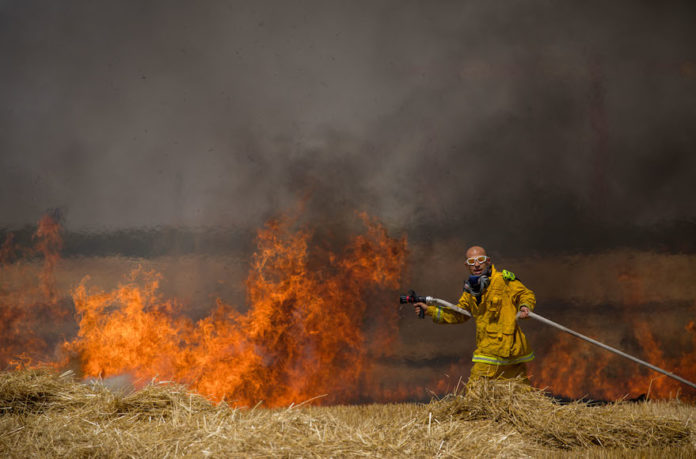 Israelische Feuerwehrleute löschen ein Feuer in einem Weizenfeld, das von Drachen verursacht wurde, die von palästinensischen Demonstranten ausgeflogen wurden, nahe der Grenze zum Gazastreifen, 30. Mai 2018. Foto Yonatan Sindel/Flash90