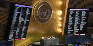 Die UNO-Vollversammlung stimmte über einen Bericht des Sonderausschusses für Politik und Entkolonialisierung über das Hilfswerk der Vereinten Nationen für Palästina-Flüchtlinge im Nahen Osten (UNRWA) ab. Der Bericht wurde mit 165 Ja-Stimmen, 2 Nein-Stimmen und 9 Enthaltungen angenommen. Foto UN Photo/Eskinder Debebe