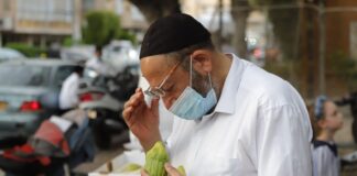 Das untersuchen der Etrog (Zitronenbaumfrüchte) in einer Strasse in Bnei Brak, vor dem jüdischen Fest von Sukkot während des Coronavirus Lockdown. Bnei Brak, 30. September 2020. Foto Eitan Elhadez-Barak/TPS