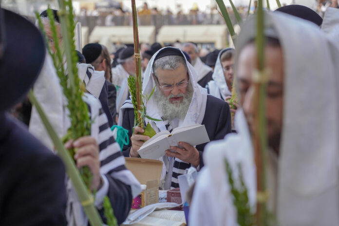 Sukkot in Jerusalem am 15. Oktober 2019. Foto Hillel Maeir/TPS