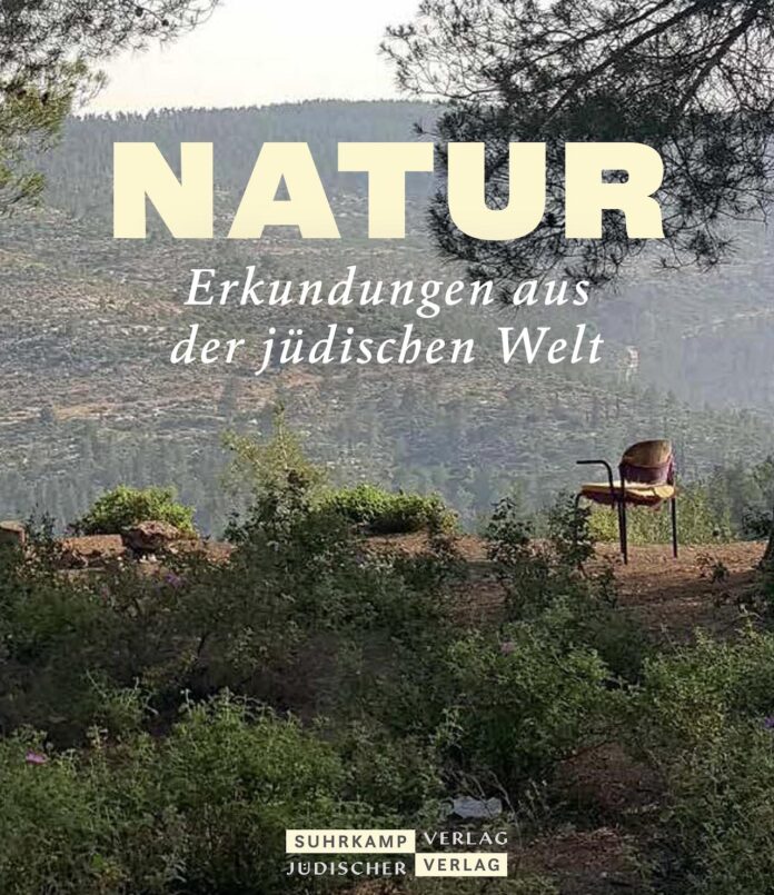 Jüdischer Almanach Natur, Erkundungen aus der jüdischen Welt, Herausgegeben von Gisela Dachs. Foto Buchumschlag Suhrkamp Verlag AG