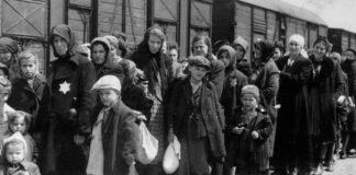 Ankunft eines Zuges mit Juden, die in das Vernichtungslager Auschwitz in Polen deportiert wurden. Foto IMAGO / United Archives International