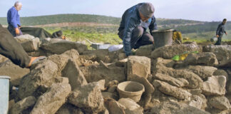 Ausgrabungen in einem Gehöft aus hellenistischer Zeit, das bei Bergungsarbeiten in Galiläa entdeckt wurde, um eine Leitung zu bauen, die entsalztes Wasser zum See Genezareth bringt. Foto Emil Aladjem, Israelische Altertumsbehörde