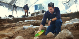 Kfir Arbiv, Grabungsleiter der Israelischen Altertumsbehörde, reinigt einen 2000 Jahre alten Ballistenstein an der Ausgrabungsstätte Russian Compound in Jerusalem. Foto Yoli Schwartz/ Israelische Altertumsbehörde
