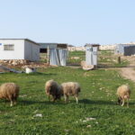 EU-Container - Siedlung auf dem Weg von Jerusalem nach Jericho. Foto zVg U. Sahm