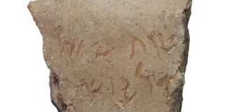 Die Inschrift des Darius. Foto Shai Halevi, Israelische Behörde für Altertümer.