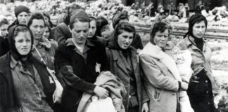 Ankunft der ungarischen Juden in Auschwitz-Birkenau. Zwischen dem 2. Mai und dem 9. Juli 1944 deportierten ungarische Gendarmen unter Führung deutscher SS-Leute mehr als 430.000 ungarische Juden aus Ungarn, die meisten von ihnen nach Auschwitz. Foto IMAGO / Reinhard Schultz
