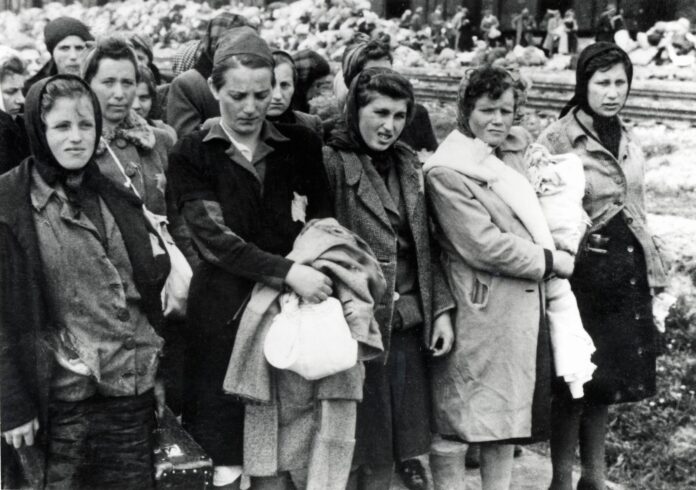 Ankunft der ungarischen Juden in Auschwitz-Birkenau. Zwischen dem 2. Mai und dem 9. Juli 1944 deportierten ungarische Gendarmen unter Führung deutscher SS-Leute mehr als 430.000 ungarische Juden aus Ungarn, die meisten von ihnen nach Auschwitz. Foto IMAGO / Reinhard Schultz