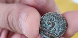 Die seltene Bronzemünze aus der Regierungszeit von Antigonus Mattathias II (40 v. Chr. - 37 v. Chr.), die illegal ausgegraben wurde. 7. Juni 2023. Foto Israelische Altertumsbehörde
