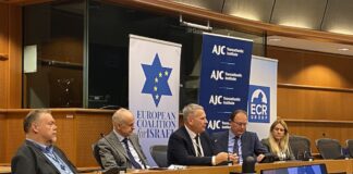 Oberst Richard Kemp vor Mitgliedern des Europäischen Parlaments. Foto ECI