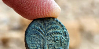 Die in der Wüste entdeckte "Eleazar der Priester"-Münze. Foto Oriya Amichay, Israelische Altertumsbehörde