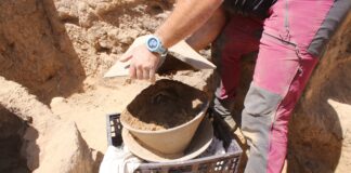 Öffnen der grossen Basaltschalen, die vor 6.000 Jahren in der Nähe von Beerscheva für ein zerbrochenes Elfenbeingefäss verwendet wurden. Foto Davida Dagan/IAA